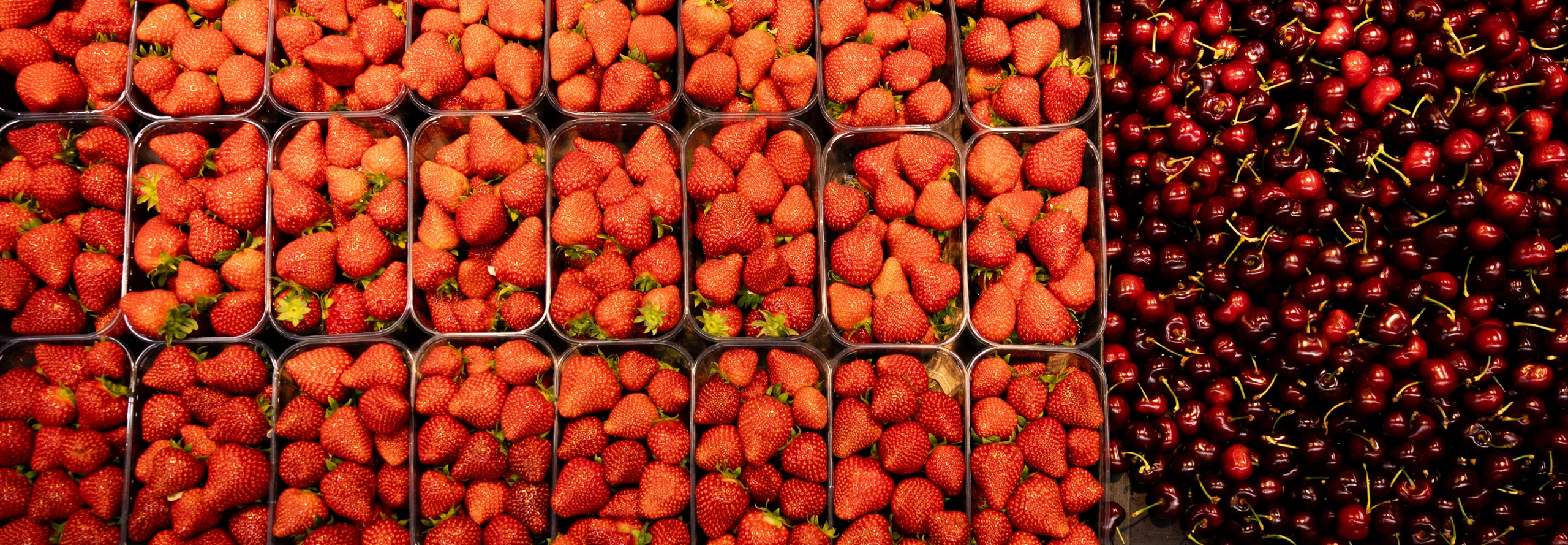 les quais du frais rayon fruits